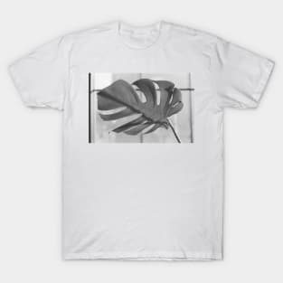 Monstera Deliciosa 35mm T-Shirt